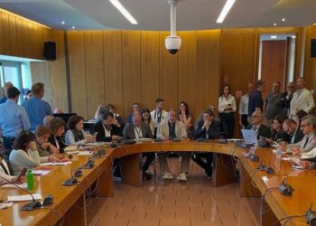 Fesica-Confsal contro i tagli alla sanità e ai servizi culturali