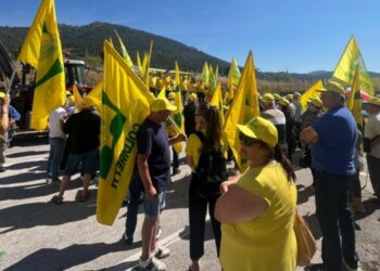 Blue Tongue, sit-in di duecento allevatori davanti alla Regione