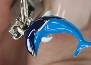 Montaldi Gioielli presenta Il Delfino: un tributo a Pescara tra arte, mare e passione calcistica