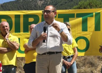 Blue tongue, Imprudente: Al lavoro per misure di ristoro e rigenerazione greggi