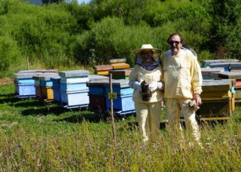 Sweet London, tre premi internazionali per i mieli dell’Apicoltura Luca Finocchio