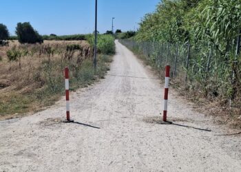 Posizionati i paletti per impedire il passaggio delle automobili lungo la pista ciclopedonale del Borsacchio