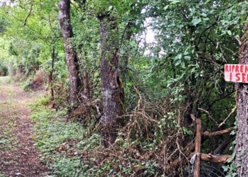 Insieme riaprono un antico sentiero, l’impresa “ciclopica” di 4 amici (fotogallery)