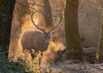Aperte le iscrizioni al concorso fotografico Civitella: scadenza 30 settembre