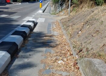 Pista ciclabile di Teramo, tra detriti, alberi e rami: la denuncia di un cittadino (fotogallery)
