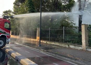 Incendio nella Pineta Dannunziana a Pescara: rogo sotto controllo