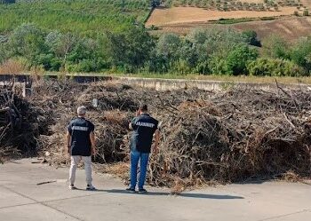 Disboscamento in una zona sottoposta a vincolo paesaggistico, i carabinieri forestali sequestrano l’area