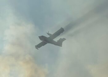 L’ombra dei piromani sugli incendi, ma sul Salviano le operazioni di spegnimento rendono difficile trovare l’innesco