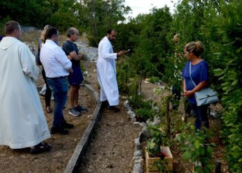 Bio cantina sociale Orsogna: talee ancestrali nel giardino delle rose