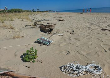 Biodiversità a rischio a Roseto: atti vandalici devastano la Riserva del Borsacchio