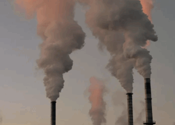 Inceneritore Get Energy, comitato ambientalista critica la gestione politica di sindaco e consigliera regionale