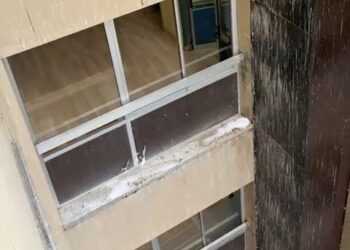 Ospedali di Teramo e Giulianova, interventi per allontanare i piccioni