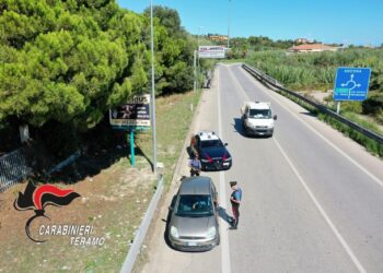 Furti, maltrattamenti e guida in stato di ebbrezza: i Carabinieri di Teramo intensificano i controlli