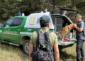 Orso morto, task force delle squadre antiveleno nella zona del ritrovamento: gli esiti della perlustrazione (foto)