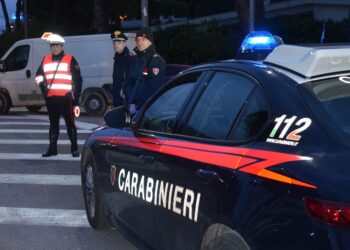 Bicicletta elettrica rubata all’interno della rivendita, denunciato il titolare