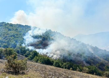 Incendi sul Salviano e a Pescina, Protezione civile: “Mano criminale, si vuole l’inferno”