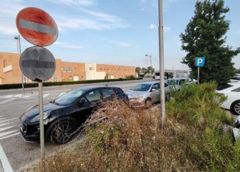 Senso vietato “rafforzato”: sterpaglie e degrado nella zona grandi alberghi di Montesilvano