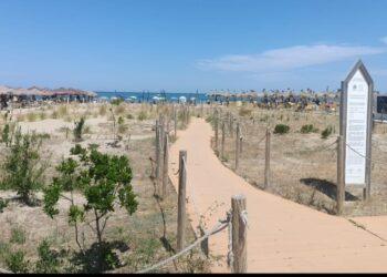 Spiaggia libera accessibile ma senza ombra: il comune dimentica i disabili davanti al Teatro D’Annunzio di Pescara