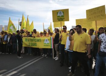 Coldiretti Abruzzo, cerealicoltori a Bari per dire basta ai trafficanti di grano