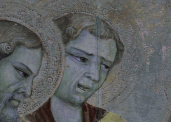 Dietro le quinte del MUNDA: la scienza svela i segreti dell’arte a Street Science