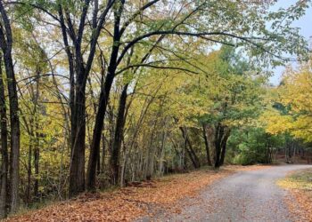 La Figlia di Iorio prende forma a Introdacqua: intitolata a D’Annunzio la via di Monte Plaja