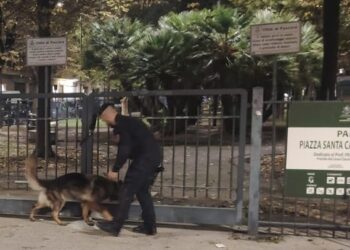 Carabinieri e unità cinofile in centro a Pescara, maxi operazione anticrimine