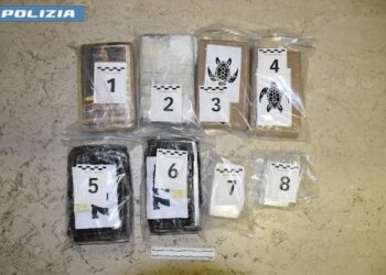 Nasconde 7 chili di cocaina in giardino: sequestro da mezzo milione di euro