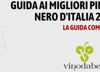 Anche un po’ di Abruzzo nella guida ai Migliori Pinot Nero d’Italia 2026 di Vinodabere