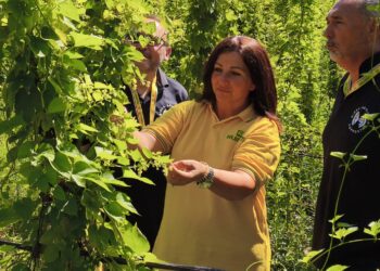 Birraturismo, è boom anche in Abruzzo con i Luppoletti aperti