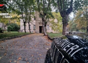 Padre e figlio arrestati a L’Aquila, sequestrati 270 grammi di marijuana nel loro appartamento