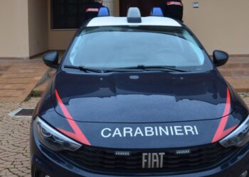 Alla guida in stato alterato, fermato dai carabinieri rifiuta il test antidroga: denunciato