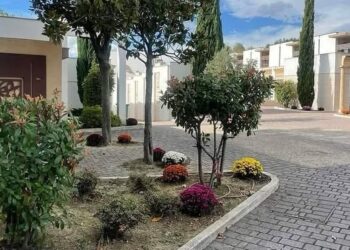 Da domani a domenica il bus navetta gratuito per raggiungere il cimitero dei Colli