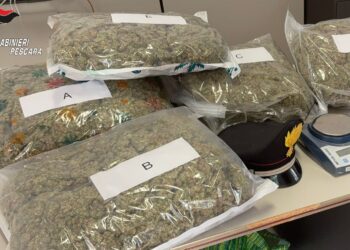 Dieci chili di marijuana nascosti in casa: arrestato 44enne