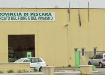 Asta pubblica per la vendita dell’ex mercato del Fiore di Città Sant’Angelo