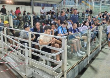La protesta del club Delfini determinati: Caos nel settore disabili dello stadio Adriatico