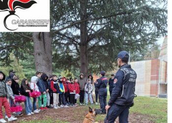 Giornata Nazionale degli Alberi, Carabinieri e scuole insieme per tutelare il territorio