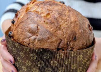 Alla Fiera internazionale del Tartufo dell’Aquila l’anteprima della “Guida ai migliori Panettoni artigianali d’Abruzzo 2025”