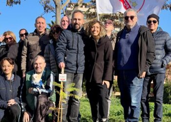 Tre nuovi alberi messi a dimora dal Movimento 5 Stelle a Pescara