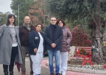 Consultorio di Teramo, inaugurati la panchina rossa e l’ulivo