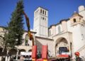 Il Natale di Assisi è anche abruzzese: albero dall’Aquila e presepe da Castelli