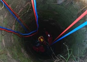 Cade in un pozzo, cane recuperato dai vigili del fuoco