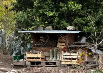 Famiglia nel bosco: Osservatorio Minori, legge da cambiare