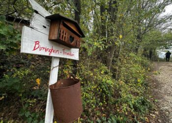 Via i figli alla famiglia nel bosco, “leso diritto a relazioni”: le motivazioni dell’allontanamento