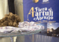 Al via domani la quarta edizione della fiera dei tartufi d’Abruzzo, Iotti: tutelare l’eccellenza