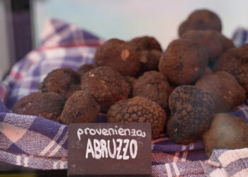 Fiera dei Tartufi d’Abruzzo: un successo con oltre 35.000 visitatori e promettenti accordi commerciali internazionali