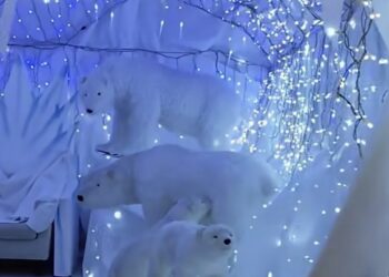 Castel di Sangro accende le feste: sabato al via il villaggio di Babbo Natale