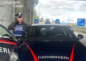 Minaccia una donna con un fucile da caccia: arrestato