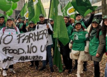 Bruxelles non è stata un punto di arrivo, Confagricoltura Abruzzo: “l’agricoltura chiede continuità”