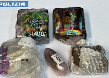Maxi operazione della polizia: due senegalesi fermati con un ingente quantitativo di droga