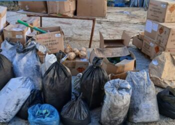 Sequestrati a Martinsicuro 240 chili di fuochi illegali: denunciato un sessantenne